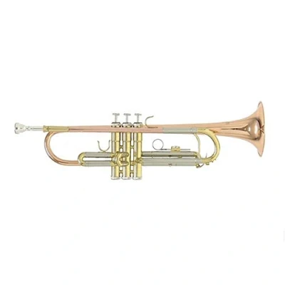 Imagen de Roy Benson Trompeta Sib TR 202G (Construcción duradera de latón dorado, con estuche rectangular ligero, juego mochila, válvulas acero inoxidable primera calidad, para músicos profesionales)