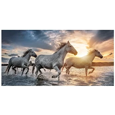 Imagen de Theonoi toalla de baño infantil, playa, ducha para niñas y niños, 100% algodón, 70 x 140 cm (caballo)