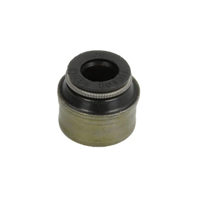 Imagen de REINZ 70 31306 00 Retenes de Válvulas AUDI: A3 Hatchback, A4 B6 Avant, A6 C5 Berlina, BMW: 3 Coupé, 5 VOLKSWAGEN: Jetta 3, GOLF 6