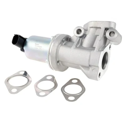 Imagen de DELPHI EG10614 12B1 Válvula EGR sin radiator KIA: cee‘d I Familiar, RIO 2, Hatchback, HYUNDAI: i30 Getz, ACCENT 3