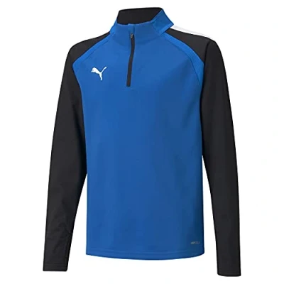 Imagen de Sudadera niño Puma Team Liga