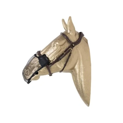 Imagen de Kentucky Anti Fly Nose Net