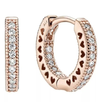 Imagen de Pendientes de Aro Corazones 286317C01 mujer plata