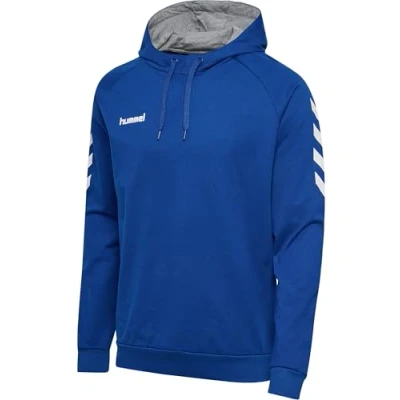 Imagen de hummel HMLGO Cotton Hoodie Color: True Blue_Talla: 3XL