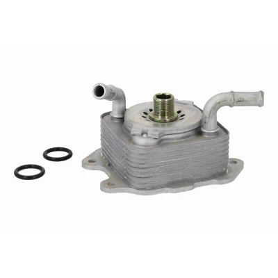 Imagen de ACKOJA A38 60 0024 Radiador de Aceite