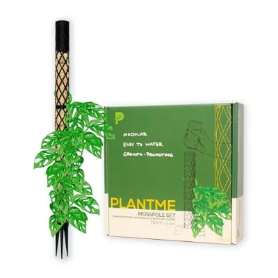 Imagen de PlantMe varilla de musgo Midi Starter Set Enrejado para plantas trepadoras, monstera, hiedra, musgo, soporte plantas, poste ayuda trepar interior, color