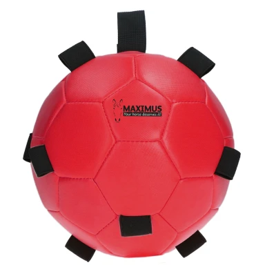 Imagen de Maximus Fun Play Pelota Azul 19 Rojo