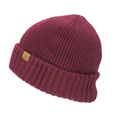 Imagen de SealSkinz Gorro con puño Enrollado Impermeable para el Clima frío Rojo, S/M Punto, Hombre