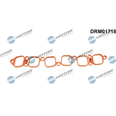 Imagen de DR.MOTOR AUTOMOTIVE DRM01718 Junta Colector de Admision VOLKSWAGEN: Golf 5, 4, Multivan 5 (7HM, AUDI: A3 Hatchback, Sportback, TT Coupé