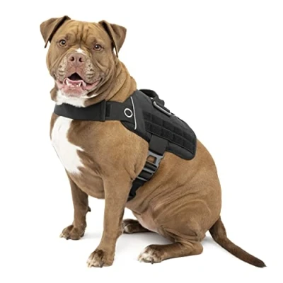 Imagen de Kurgo RSG Townie Arnés de Seguridad para Perros, Adiestramiento Perros Guía, Reflectante, Compatible con MOLLE Negro, L