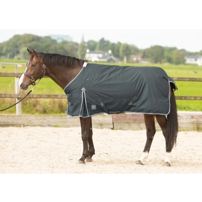 Imagen de Harry&#039;s Horse Outdoorrug Thor 200