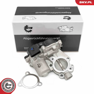 Imagen de Válvula EGR ESEN SKV 14SKV281