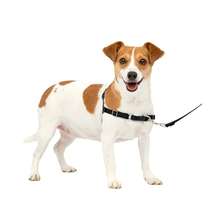 Imagen de PetSafe Easy Walk Arnés Antitirones para Perros, 4 Puntos de Ajuste, Adiestramiento Evita Asfixia, Fácil Poner y Quitar Negro Pequeño, S