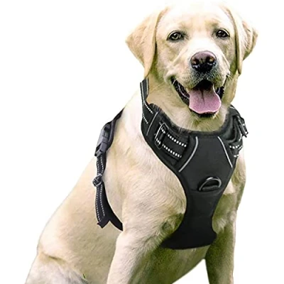 Imagen de rabbitgoo Arnes Perro Grande Mediano Pequeño Arnés Pecho Antitirones Perros Coche con Lineas Reflecantes Cómodo Transpirable Chaleco Acolchado Ajustable para Adiesreamiento Correr Negro Tamaño