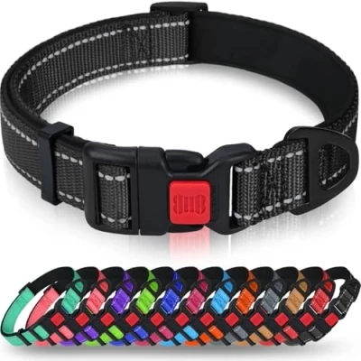 Imagen de Taglory Collar Perro, Nylon Reflectante Neopreno Forrado Ajustable para Perros Medianos, Negro