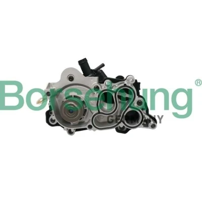 Imagen de Borsehung B12692 Bomba de agua VOLKSWAGEN: Golf 7, Scirocco III, Polo V Hatchback, SEAT: Leon III ST, SC