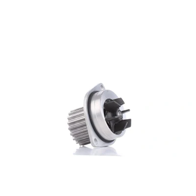 Imagen de DOLZ C113 Bomba de agua 19 con polea CITROËN: Xsara Picasso, Saxo Hatchback, C3 I PEUGEOT: 206 207 106 II Hatchback