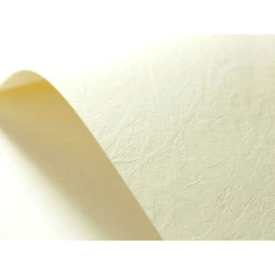 Imagen de Netuno 400 Hojas Cartulina Texturizada Elfenbein Marfil Cuero A4 210x297 mm 246g Papel con Relieve para Invitaciones, Tarjetas de Felicitación, Manualidades y Proyectos Creativos