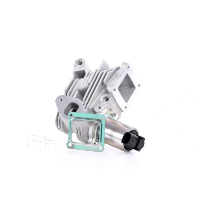 Imagen de MAGNETI MARELLI 571822112044 Válvula EGR RENAULT: SCENIC 2, MEGANE 2 Stufenheck