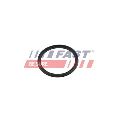 Imagen de FAST FT49854 Anillo obturador RENAULT: MEGANE 3, Espace 5, SCENIC DACIA: LOGAN 2, Duster SUV, SANDERO MERCEDES BENZ: Clase A, GLA, B
