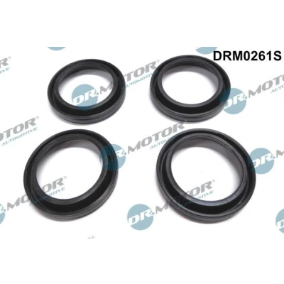 Imagen de DR.MOTOR AUTOMOTIVE DRM0261S Juego de juntas, tapa culata cilindro MAZDA: 6 Berlina, Hatchback, Wagon