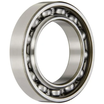 Imagen de SKF 6010 Rodamientos rígidos de bolas una hilera, 50 x 80 16