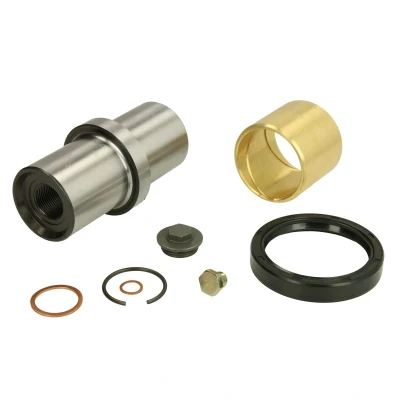 Imagen de FEBI BILSTEIN 05875 Juego de reparación, pivote del muñón eje