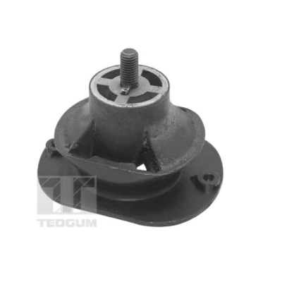 Imagen de TEDGUM TED40521 Soporte de motor posterior IVECO: DAILY 3, 4, 3 Kasten/Kombi