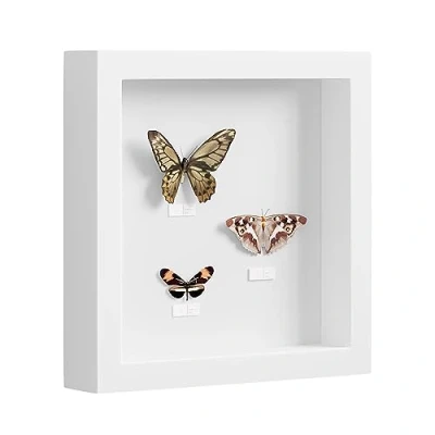 Imagen de EUGAD 3D Marco de Fotos con Profundidad 30x30cm, Objeto 3cm, Madera para Colgar en la Pared o Escritorio, Blanco
