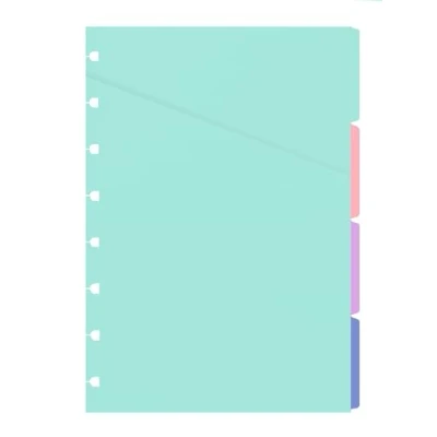 Imagen de Filofax 152015 Divisor (A5, 153 mm, 210 mm)