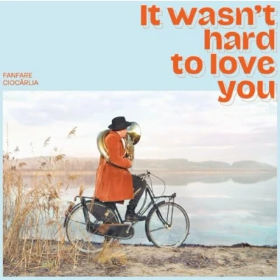 Imagen de It Wasn&#039;t Hard To Love You
