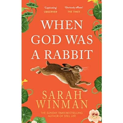 Imagen de When god was a rabbit