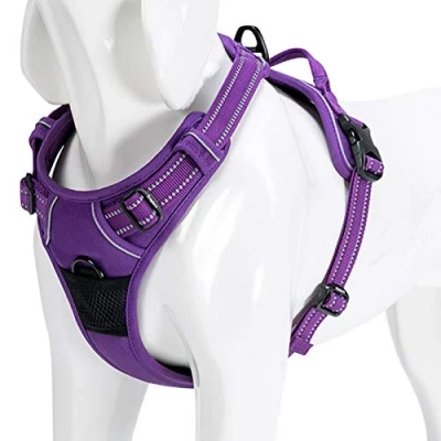 Imagen de WINHYEPET Arnés para Perros True Love, sin tirón, con Clip Frontal, arneses Coche, Ajustables asa, Cuatro Puntos de Ajuste, Material Oxford Acolchado Reflectante, TLH5651 (Morado, M)