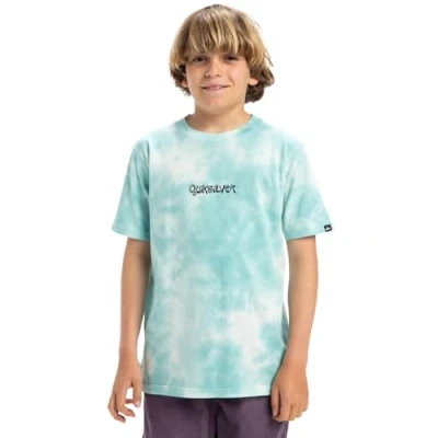 Imagen de Quiksilver Frog Ritual SS tee Youth Camiseta, Marine Blue, 16 años Niños