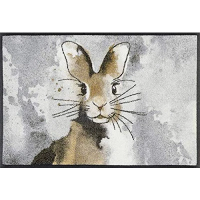 Imagen de Wash+Dry Alfombra Hopps 50x75cm, Adecuada para Interiores y Exteriores, Lavable