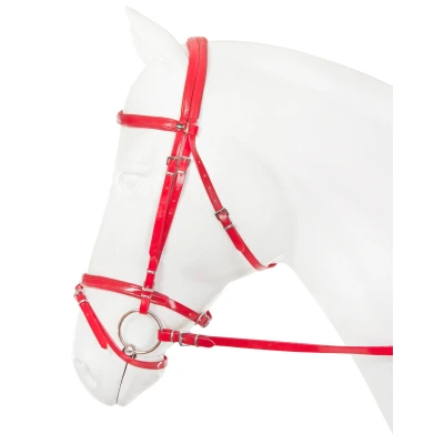 Imagen de Horka Bridle PVC Flashy