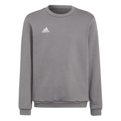 Imagen de adidas Unisex niños Entrada 22 Sweat Top, Team Grey Four, 9 10 Years