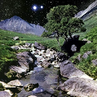 Imagen de The Beta Band Edición Deluxe [Vinilo]