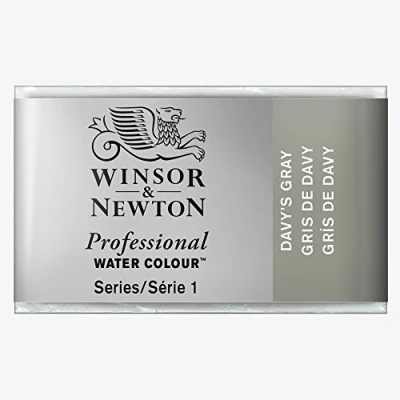 Imagen de Winsor &amp; Newton Acuarela Profesional Pintura De Acuarela, Alta Luminosidad, Resistente a la Luz, Calidad Archivo, Godet, Color Gris Davy