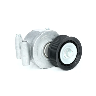 Imagen de INA 534 0249 10 Brazo tensor, correa trapecial poli V FORD: Focus 2 Limousine, C Max, 2, MAZDA: 5, 3 Hatchback, VOLVO: V50