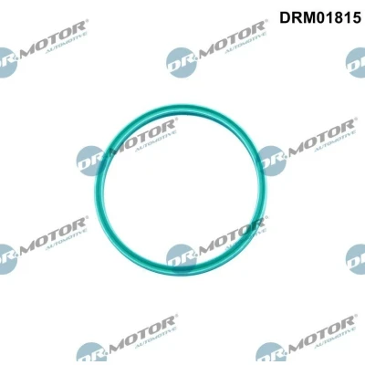 Imagen de DR.MOTOR AUTOMOTIVE DRM01815 Junta anular, conducto aire admisión VOLKSWAGEN: Golf 5, Transporter 4, SEAT: Leon I Hatchback, II Hatchback