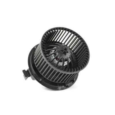 Imagen de RIDEX 2669I0003 Ventilador de Calefacción para vehículos con climatizador RENAULT: MEGANE 2 Coupe Cabriolet, Kombi,