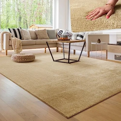 Imagen de Paco Home Alfombra para la Sala de Estar Unicolor Lavable Suave Pila Corta, tamaño:60x100 cm, Color:Beige