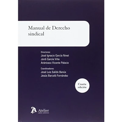 Imagen de Manual de derecho sindical: 4ª edicion (SIN COLECCION)
