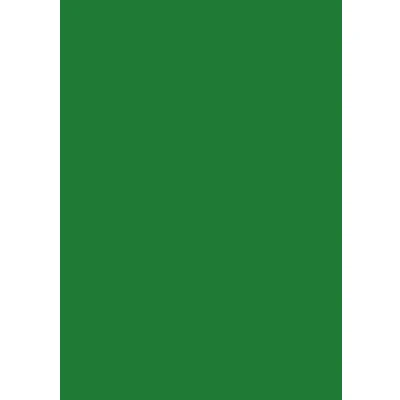 Imagen de Baier &amp; Schneider Papel multifunción (mate, A4, 80 g/m², 50 hojas), color verde oscuro