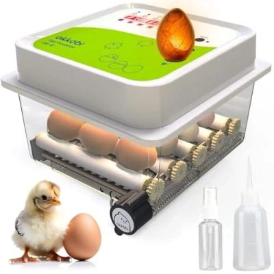Imagen de Incubadora Huevos Gallina 12 Ideal para todas las edades Incubadoras de Automaticas Volteo Automático y Control Humedad Ovoscopio integrado +5 años Garantía Okköbi Obi