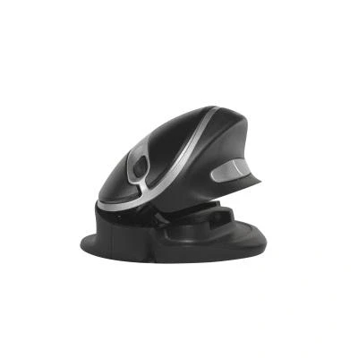 Imagen de Bakkerelkhuizen Oyster
