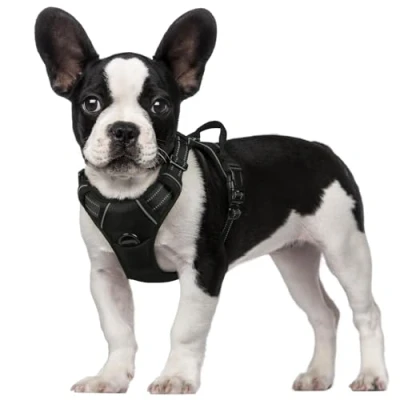 Imagen de rabbitgoo Arnes Perro Pequeño con Lineas Reflecantes Arnés Perros Antitirones Coche Adiesreamiento Bicicleda Correr Chaleco Acolchado Ajustable, Negro