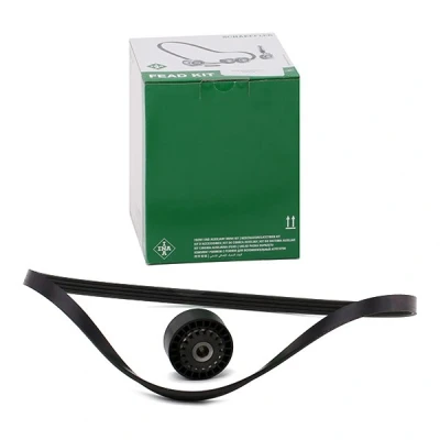 Imagen de INA 529 0100 10 Juego de correas trapeciales poli V Revisar/sustituir poleas libres del alternador RENAULT: Clio 2, 4, Kangoo I