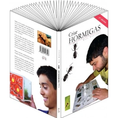 Imagen de Criar hormigas